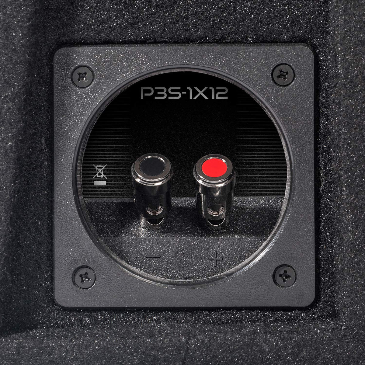 Rockford Fosgate P3S-1X12 12" Shallow Loaded Subwoofer
