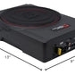 Cerwin Vega VR10