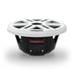 Rockford Fosgate M2-10H