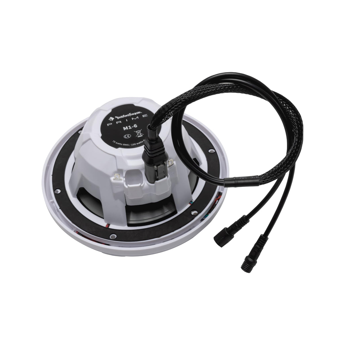 Rockford Fosgate RGB-Y4P 4-Pin Color Optix Y-Adapter