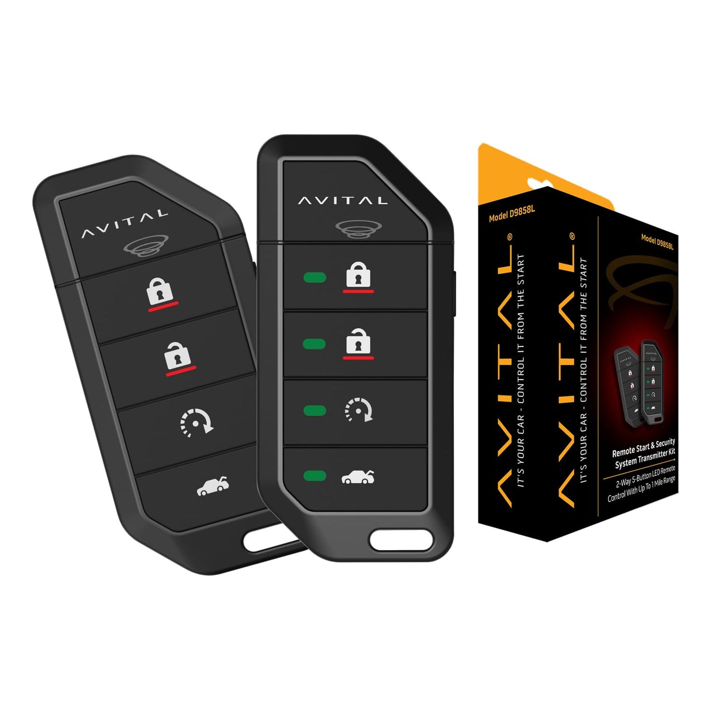 Avital D9858L