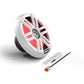 Rockford Fosgate M2D4-10S