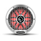 Rockford Fosgate M2D2-12I
