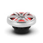 Rockford Fosgate M2D2-10I