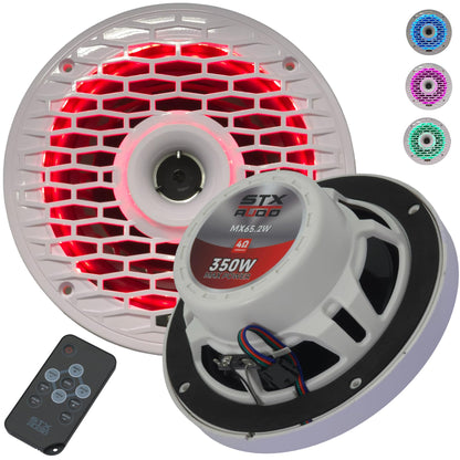 STX Audio MX65.2W