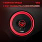 Cerwin Vega V65