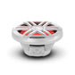 Rockford Fosgate M1D4-10