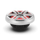 Rockford Fosgate M2D2-12I