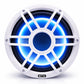 STX Audio STX-10MSW