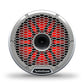 Rockford Fosgate M2-10H